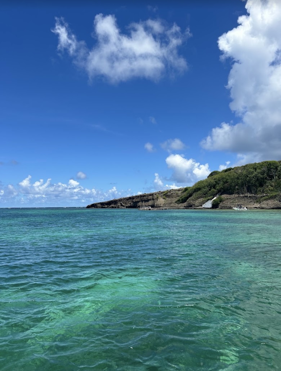 Mer turquoise et îlet de la côte atlantique en Martinique