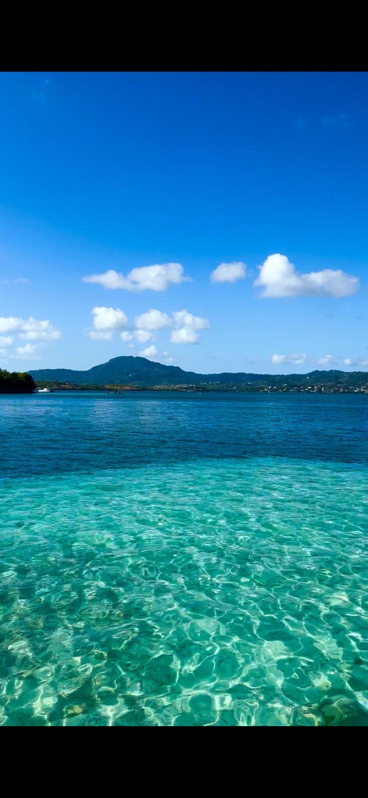 Eau turquoise translucide des fonds blancs du François